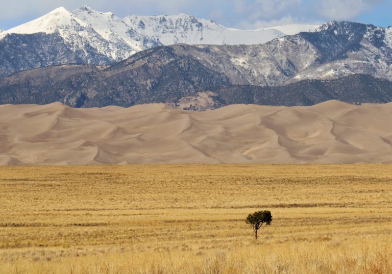 Global Temperatures Head For Record Highs in Next Five Years Global Temperatures Head For Record Highs in Next Five Years