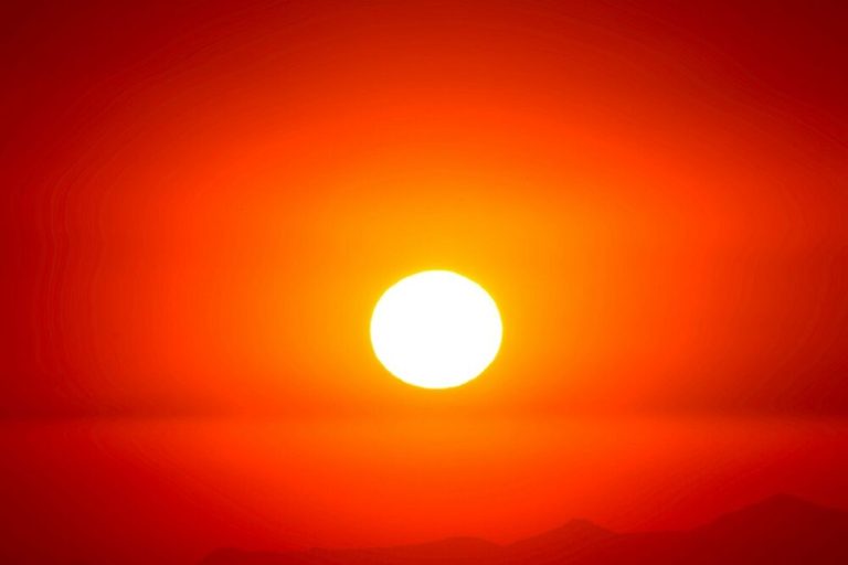 As Extreme Heat Deaths Mount in Europe, WHO Urges Urban Redesign