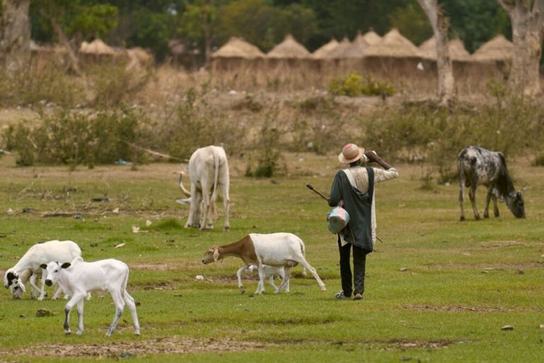 Global Food Security Improves, Although Billions Still Lack Affordable Healthy Diets