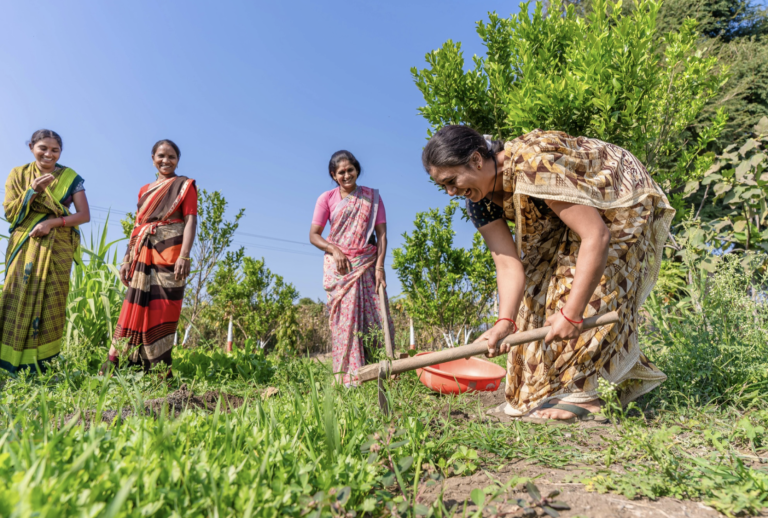In India’s Mountains, Climate Change Is Rewriting the Map of Disease