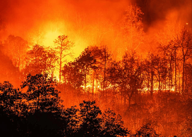 ‘Fire-Breathing Dragon Clouds’: The Health Threat of Wildfire Smoke Choking Europe and the World